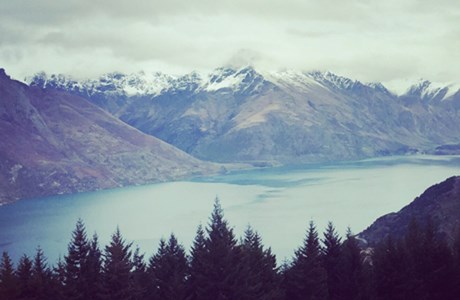 nz cathy1